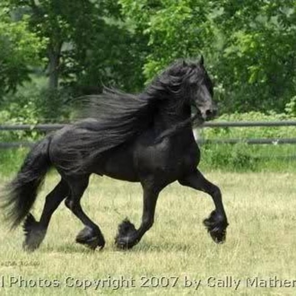 Meet your Posher, Mary - Picture 1 of 1